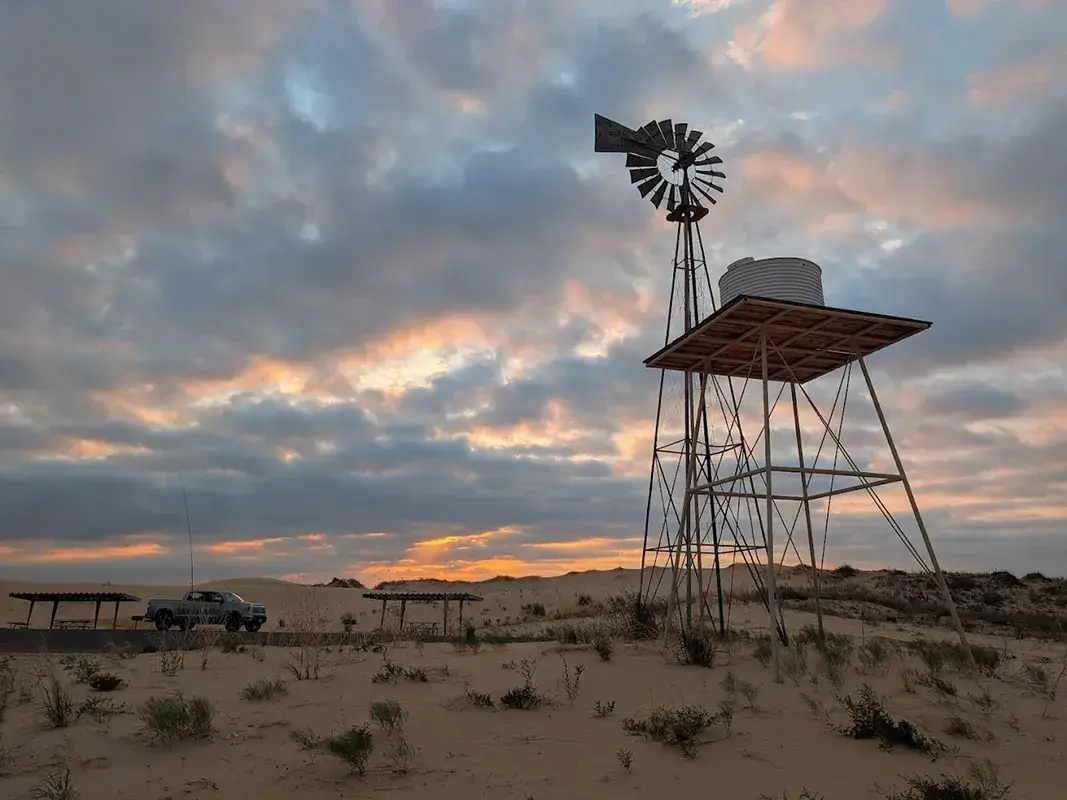 desert camp copy